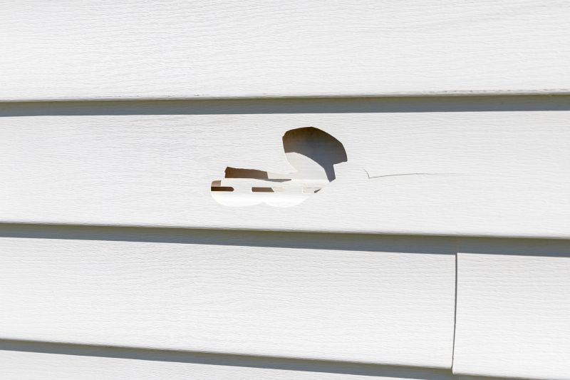 Repaired Vinyl Siding Panel